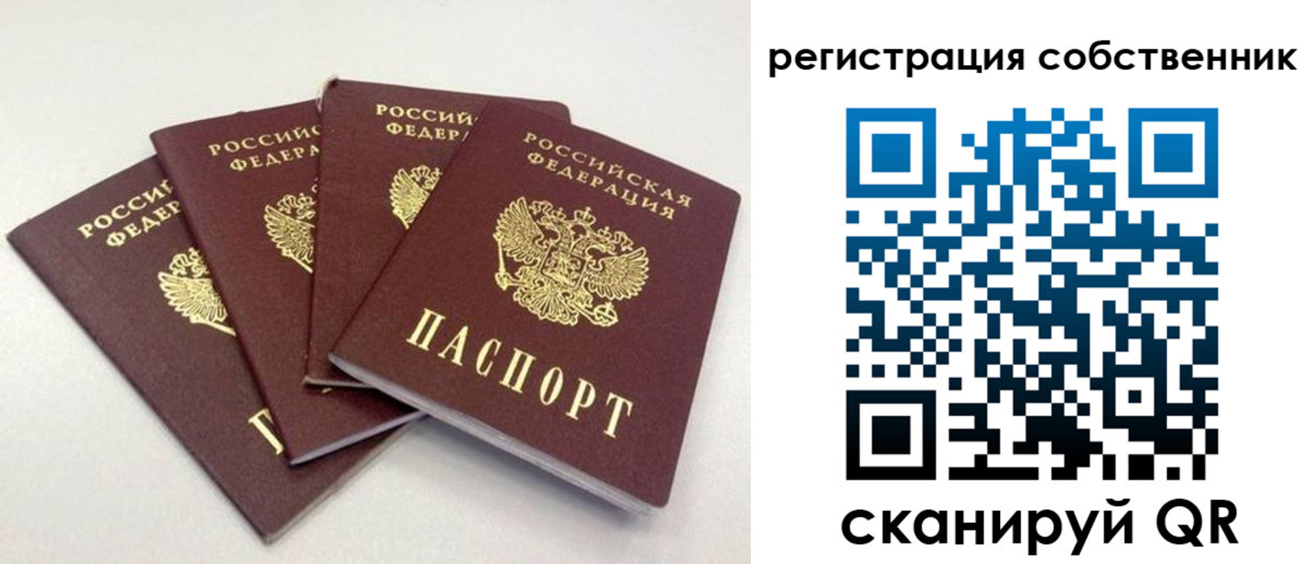 прописка для школы в Сосногорске